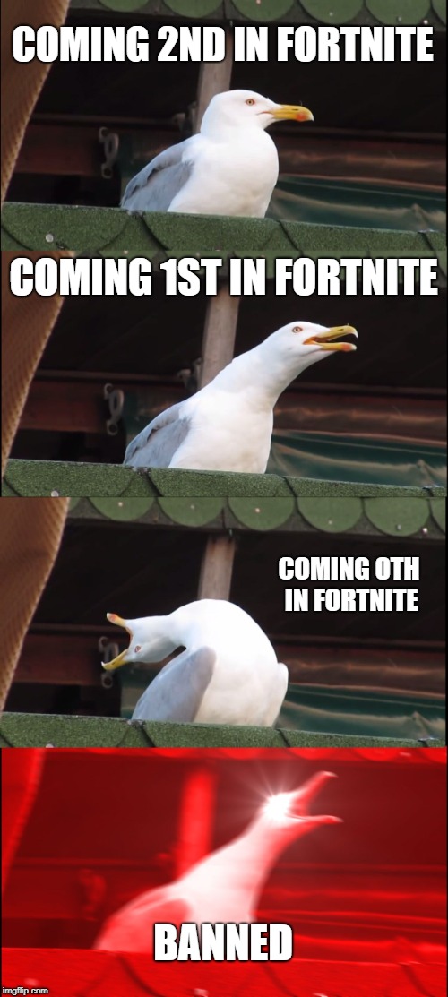 Inhaling Seagull Meme | COMING 2ND IN FORTNITE; COMING 1ST IN FORTNITE; COMING 0TH IN FORTNITE; BANNED | image tagged in memes,inhaling seagull | made w/ Imgflip meme maker
