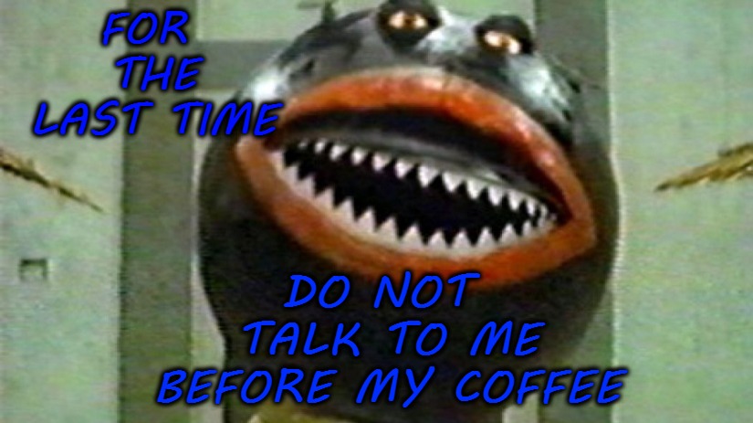 DO NOT TALK TO ME BEFORE MY COFFEE; FOR THE LAST TIME | image tagged in funny,coffee,memes | made w/ Imgflip meme maker