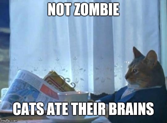 Cat newspaper | NOT ZOMBIE CATS ATE THEIR BRAINS | image tagged in cat newspaper | made w/ Imgflip meme maker