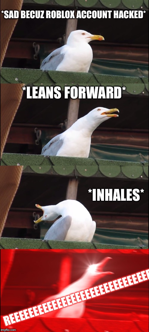 Inhaling Seagull Meme | *SAD BECUZ ROBLOX ACCOUNT HACKED*; *LEANS FORWARD*; *INHALES*; REEEEEEEEEEEEEEEEEEEEEEEEEEEEEEE | image tagged in memes,inhaling seagull | made w/ Imgflip meme maker