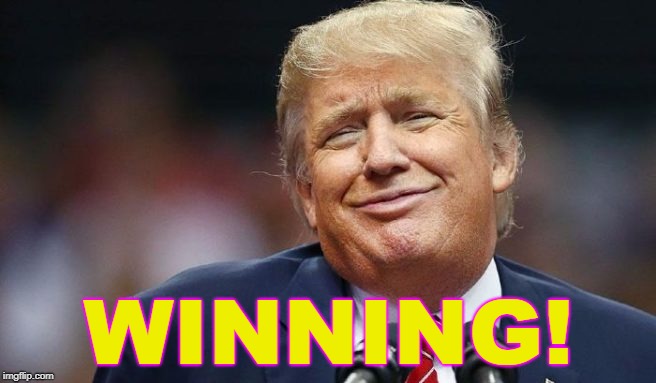 Trump smug immature | WINNING! | image tagged in trump smug immature | made w/ Imgflip meme maker