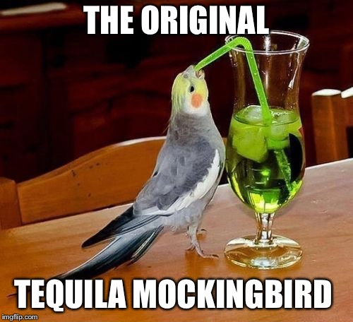 Tequila Mockingbird  | THE ORIGINAL; TEQUILA MOCKINGBIRD | image tagged in memes,tequila,mockingbird | made w/ Imgflip meme maker