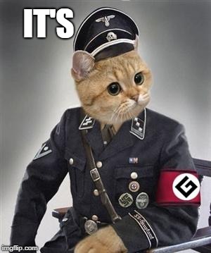 Grammar Nazi Cat | IT'S | image tagged in grammar nazi cat | made w/ Imgflip meme maker