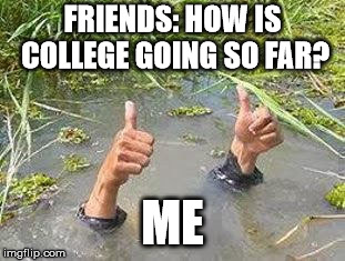 Go study for a degree they said... | FRIENDS: HOW IS COLLEGE GOING SO FAR? ME | image tagged in student life,college humor | made w/ Imgflip meme maker