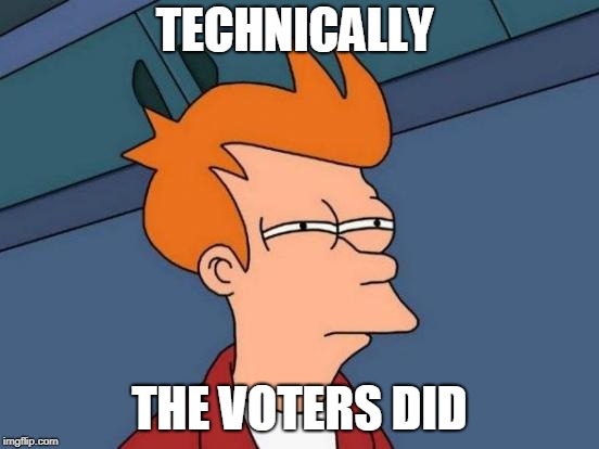 Futurama Fry Meme | TECHNICALLY THE VOTERS DID | image tagged in memes,futurama fry | made w/ Imgflip meme maker