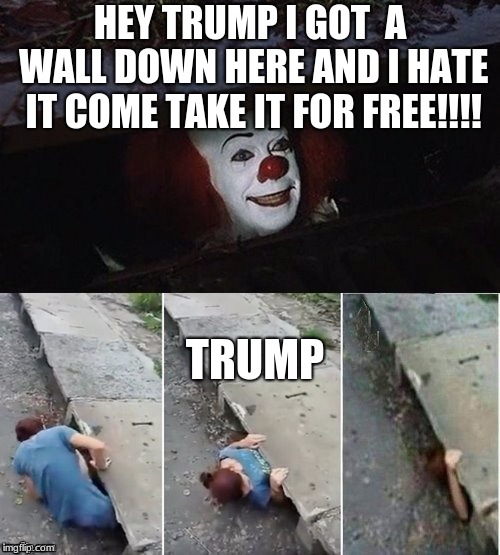 Pennywise | HEY TRUMP I GOT  A WALL DOWN HERE AND I HATE IT COME TAKE IT FOR FREE!!!! TRUMP | image tagged in pennywise | made w/ Imgflip meme maker