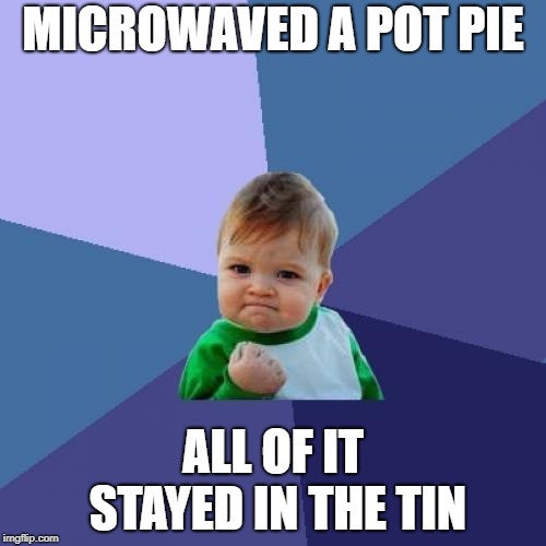 Success Kid | MICROWAVED A POT PIE; ALL OF IT STAYED IN THE TIN | image tagged in memes,success kid | made w/ Imgflip meme maker