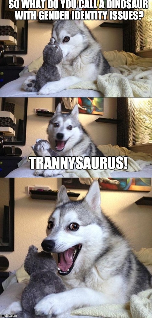 Joker dog | SO WHAT DO YOU CALL A DINOSAUR WITH GENDER IDENTITY ISSUES? TRANNYSAURUS! | image tagged in bad joke dog,bad joke,funny memes,funny | made w/ Imgflip meme maker