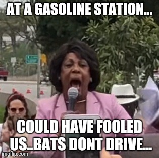 Maxine Waters | AT A GASOLINE STATION... COULD HAVE FOOLED US..BATS DONT DRIVE... | image tagged in maxine waters | made w/ Imgflip meme maker