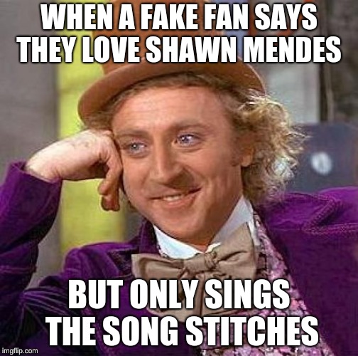 Creepy Condescending Wonka | WHEN A FAKE FAN SAYS THEY LOVE SHAWN MENDES; BUT ONLY SINGS THE SONG STITCHES | image tagged in memes,creepy condescending wonka | made w/ Imgflip meme maker