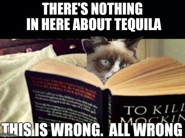 THERE'S NOTHING IN HERE ABOUT TEQUILA | made w/ Imgflip meme maker