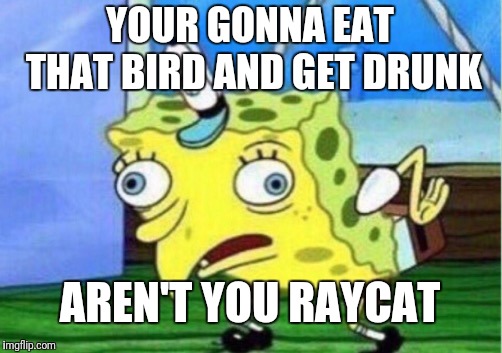 Mocking Spongebob Meme | YOUR GONNA EAT THAT BIRD AND GET DRUNK AREN'T YOU RAYCAT | image tagged in memes,mocking spongebob | made w/ Imgflip meme maker