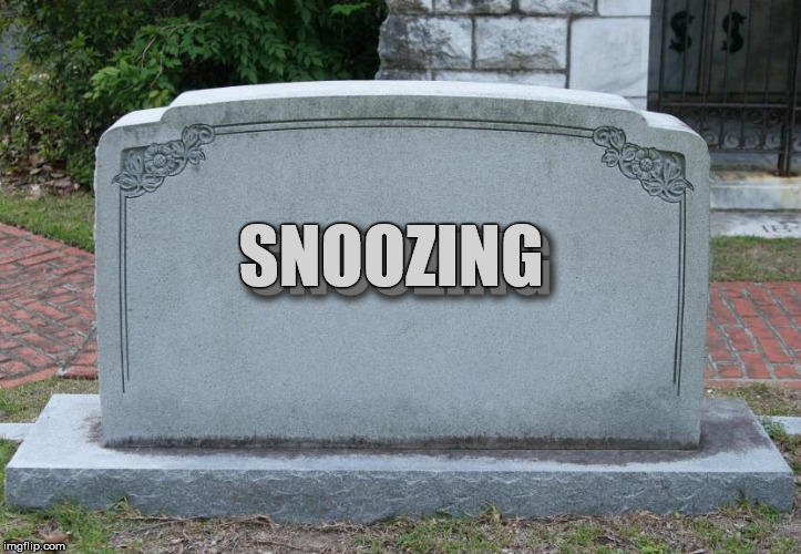 Blank Tombstone | SNOOZING SNOOZING | image tagged in blank tombstone | made w/ Imgflip meme maker