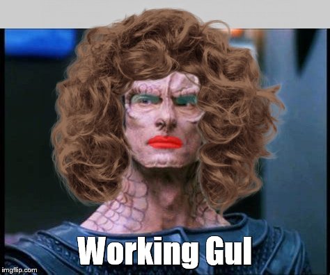 Working Gul | Working Gul | image tagged in star trek,memes | made w/ Imgflip meme maker