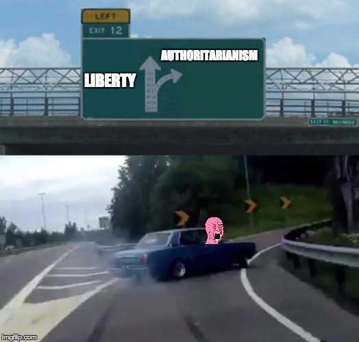 Left Exit 12 Off Ramp | AUTHORITARIANISM; LIBERTY | image tagged in memes,left exit 12 off ramp | made w/ Imgflip meme maker