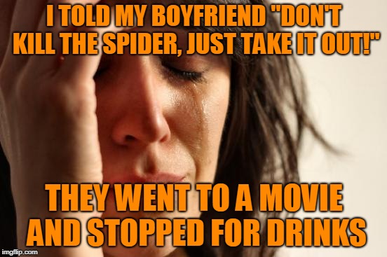 First World Problems Meme | I TOLD MY BOYFRIEND "DON'T KILL THE SPIDER, JUST TAKE IT OUT!"; THEY WENT TO A MOVIE AND STOPPED FOR DRINKS | image tagged in memes,first world problems | made w/ Imgflip meme maker