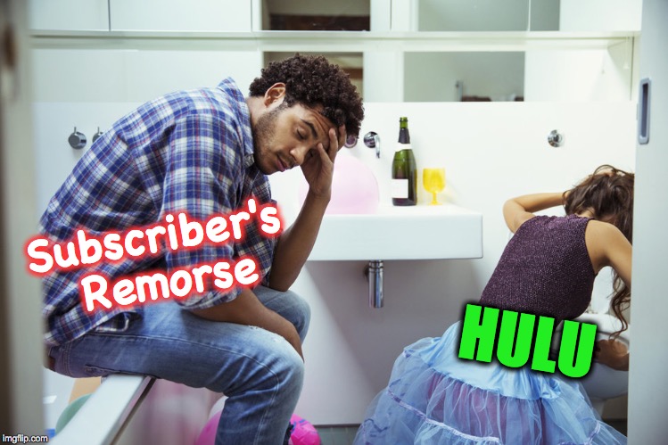 Subscriber's Remorse HULU | image tagged in hulu | made w/ Imgflip meme maker