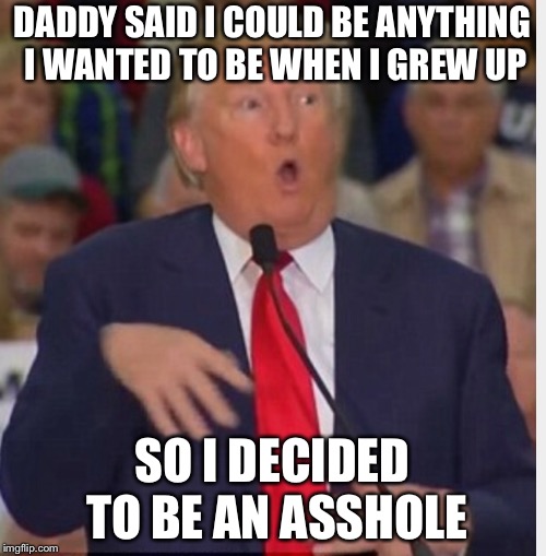 Donald Trump tho | DADDY SAID I COULD BE ANYTHING I WANTED TO BE WHEN I GREW UP; SO I DECIDED TO BE AN ASSHOLE | image tagged in donald trump tho | made w/ Imgflip meme maker