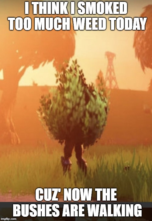 Fortnite bush | I THINK I SMOKED TOO MUCH WEED TODAY; CUZ' NOW THE BUSHES ARE WALKING | image tagged in fortnite bush | made w/ Imgflip meme maker