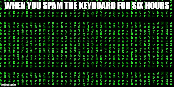Spamming is hacking | WHEN YOU SPAM THE KEYBOARD FOR SIX HOURS | image tagged in memes,spam | made w/ Imgflip meme maker