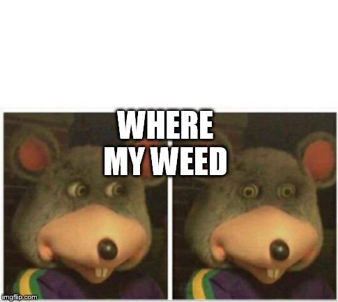 chuck e cheese rat stare | WHERE MY WEED | image tagged in chuck e cheese rat stare | made w/ Imgflip meme maker