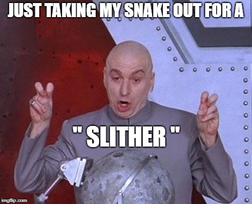 Dr Evil Laser Meme | JUST TAKING MY SNAKE OUT FOR A " SLITHER " | image tagged in memes,dr evil laser | made w/ Imgflip meme maker