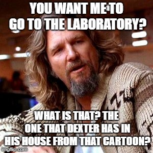 Confused Lebowski | YOU WANT ME TO GO TO THE LABORATORY? WHAT IS THAT? THE ONE THAT DEXTER HAS IN HIS HOUSE FROM THAT CARTOON? | image tagged in memes,confused lebowski | made w/ Imgflip meme maker