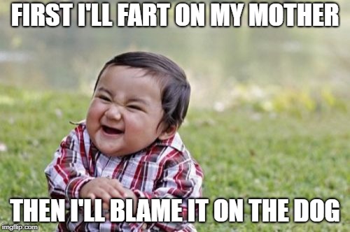 Evil Toddler | FIRST I'LL FART ON MY MOTHER; THEN I'LL BLAME IT ON THE DOG | image tagged in memes,evil toddler | made w/ Imgflip meme maker