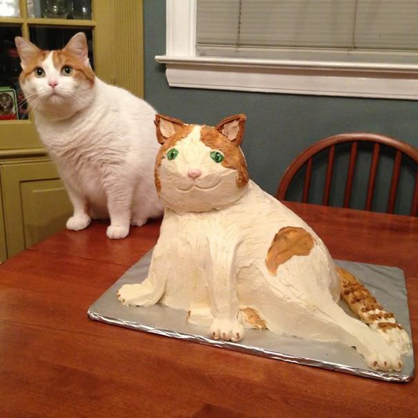 High Quality cat cake Blank Meme Template