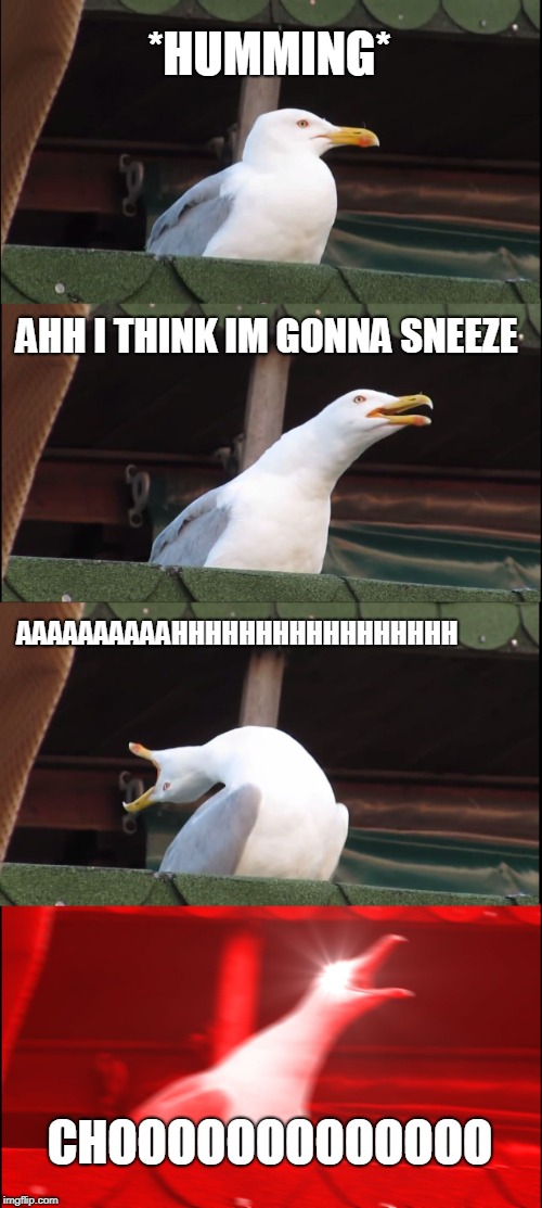 Inhaling Seagull | *HUMMING*; AHH I THINK IM GONNA SNEEZE; AAAAAAAAAAHHHHHHHHHHHHHHHHH; CHOOOOOOOOOOOOO | image tagged in memes,inhaling seagull | made w/ Imgflip meme maker