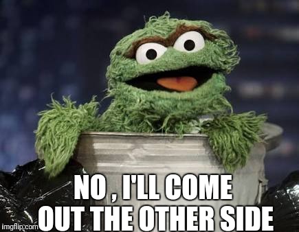 Trash can sesame street | NO , I'LL COME OUT THE OTHER SIDE | image tagged in trash can sesame street | made w/ Imgflip meme maker