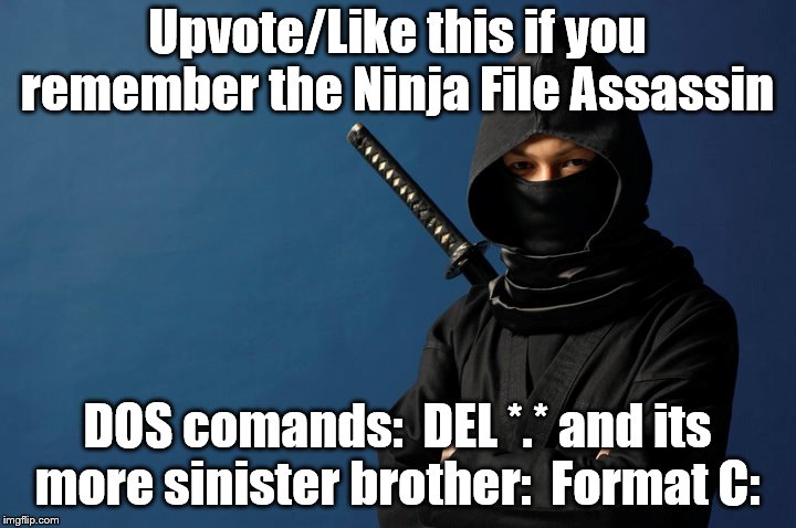 Ninja File Assassin | Upvote/Like this if you remember the Ninja File Assassin; DOS comands:  DEL *.* and its more sinister brother:  Format C: | image tagged in nostalgia | made w/ Imgflip meme maker