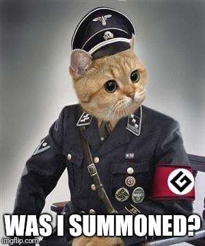 Grammar Nazi Cat | WAS I SUMMONED? | image tagged in grammar nazi cat | made w/ Imgflip meme maker