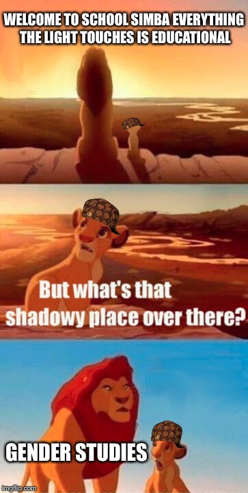 Simba Shadowy Place | WELCOME TO SCHOOL SIMBA EVERYTHING THE LIGHT TOUCHES IS EDUCATIONAL; GENDER STUDIES | image tagged in memes,simba shadowy place,scumbag | made w/ Imgflip meme maker