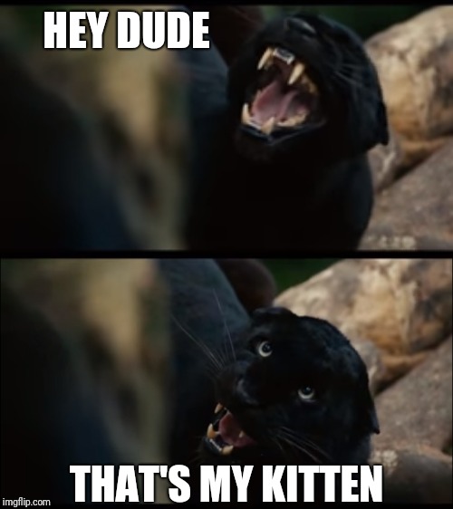 apocalypto panther | HEY DUDE; THAT'S MY KITTEN | image tagged in cats | made w/ Imgflip meme maker