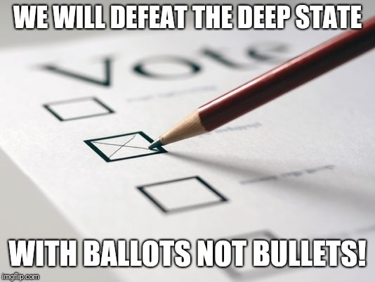 Voting Ballot | WE WILL DEFEAT THE DEEP STATE; WITH BALLOTS NOT BULLETS! | image tagged in voting ballot | made w/ Imgflip meme maker