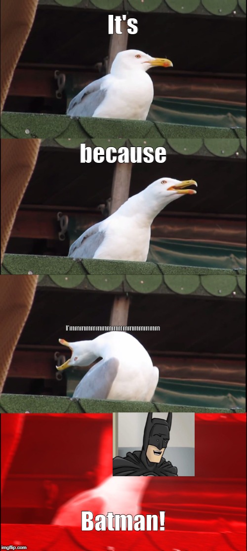 Inhaling Seagull | It's; because; I'mmmmmmmmmmmmmmmmm; Batman! | image tagged in memes,inhaling seagull,batman | made w/ Imgflip meme maker