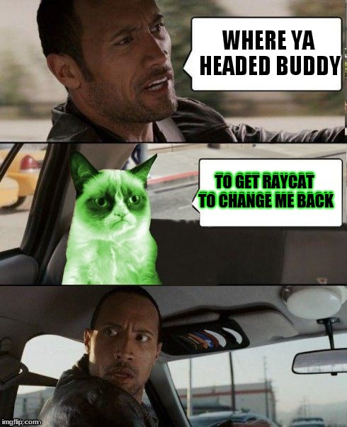 envious grump... | TO GET RAYCAT TO CHANGE ME BACK | image tagged in the rock driving,grumpy cat,raycat,envy | made w/ Imgflip meme maker