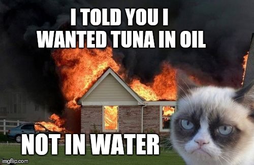 Burn Kitty! Repost | I TOLD YOU I WANTED TUNA IN OIL; NOT IN WATER | image tagged in memes,burn kitty,grumpy cat,cats | made w/ Imgflip meme maker