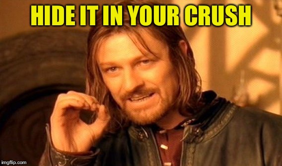 One Does Not Simply Meme | HIDE IT IN YOUR CRUSH | image tagged in memes,one does not simply | made w/ Imgflip meme maker