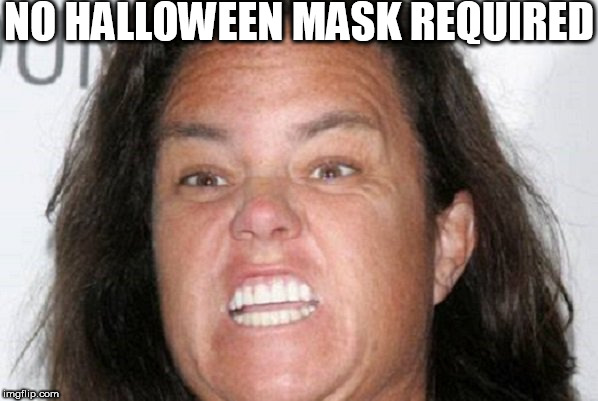 AAAAACCKKKKK!  Now that is SKETCHY! | NO HALLOWEEN MASK REQUIRED | image tagged in rosie o'donnell,pig,rose pig | made w/ Imgflip meme maker