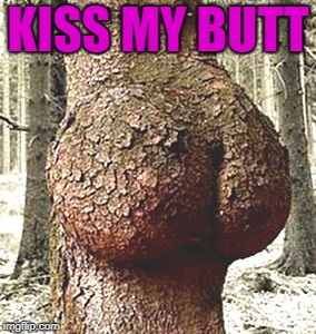 KISS MY BUTT | made w/ Imgflip meme maker