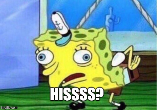 Mocking Spongebob Meme | HISSSS? | image tagged in memes,mocking spongebob | made w/ Imgflip meme maker