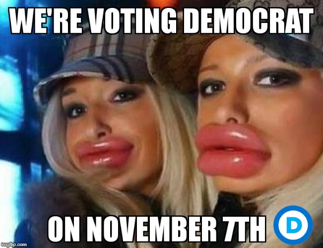 Make Sure to Vote Democrat November 7th! | image tagged in democrat,liberals,election,voting,maga,memes | made w/ Imgflip meme maker