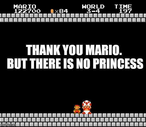 Thank You Mario | THANK YOU MARIO. BUT THERE IS NO PRINCESS | image tagged in thank you mario | made w/ Imgflip meme maker