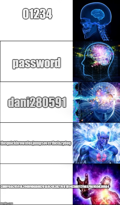 Blockchain passwords | 01234; password; dani280591; thequickbrownfoxjumpsoverthelazydog; CDDFF66C9591A390D9D6B0D201A8C483D2701E1D14C5BEF729A579A9550388A4 | image tagged in brain evolution | made w/ Imgflip meme maker