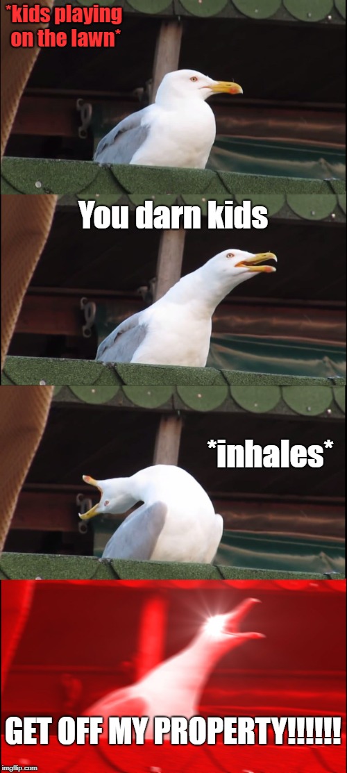 Inhaling Seagull Meme | *kids playing on the lawn*; You darn kids; *inhales*; GET OFF MY PROPERTY!!!!!! | image tagged in memes,inhaling seagull | made w/ Imgflip meme maker