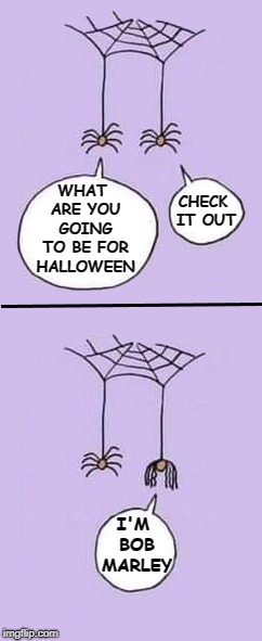 just hanging around | CHECK IT OUT; WHAT ARE YOU GOING TO BE FOR HALLOWEEN; I'M BOB MARLEY | image tagged in halloween,spiders,bob marley | made w/ Imgflip meme maker