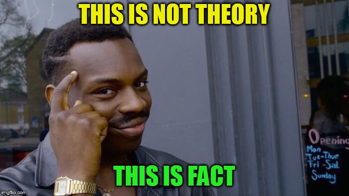 Roll Safe Think About It Meme | THIS IS NOT THEORY THIS IS FACT | image tagged in memes,roll safe think about it | made w/ Imgflip meme maker