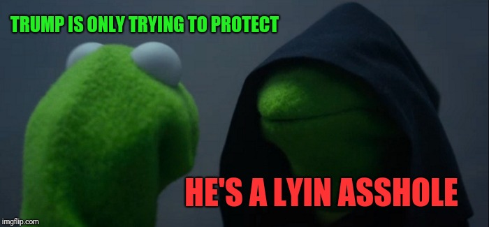 Evil Kermit Meme | TRUMP IS ONLY TRYING TO PROTECT HE'S A LYIN ASSHOLE | image tagged in memes,evil kermit | made w/ Imgflip meme maker